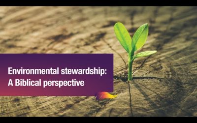 Environmental Stewardship – Dr. C. Vasantha Rao