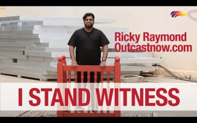 I Stand Witness / Ricky Raymond